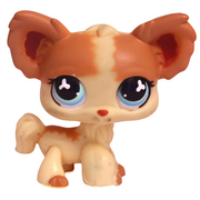 LPS Chihuahua 765.