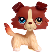 1262 LPS Collie 1262.