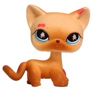816 LPS Short hair cat 816.