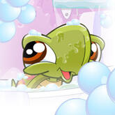 The thumbnail for the game "Splash Around," which is no longer playable.