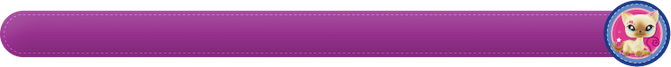 A Littlest Pet Shop themed divider.
