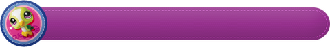 A Littlest Pet Shop themed divider.
